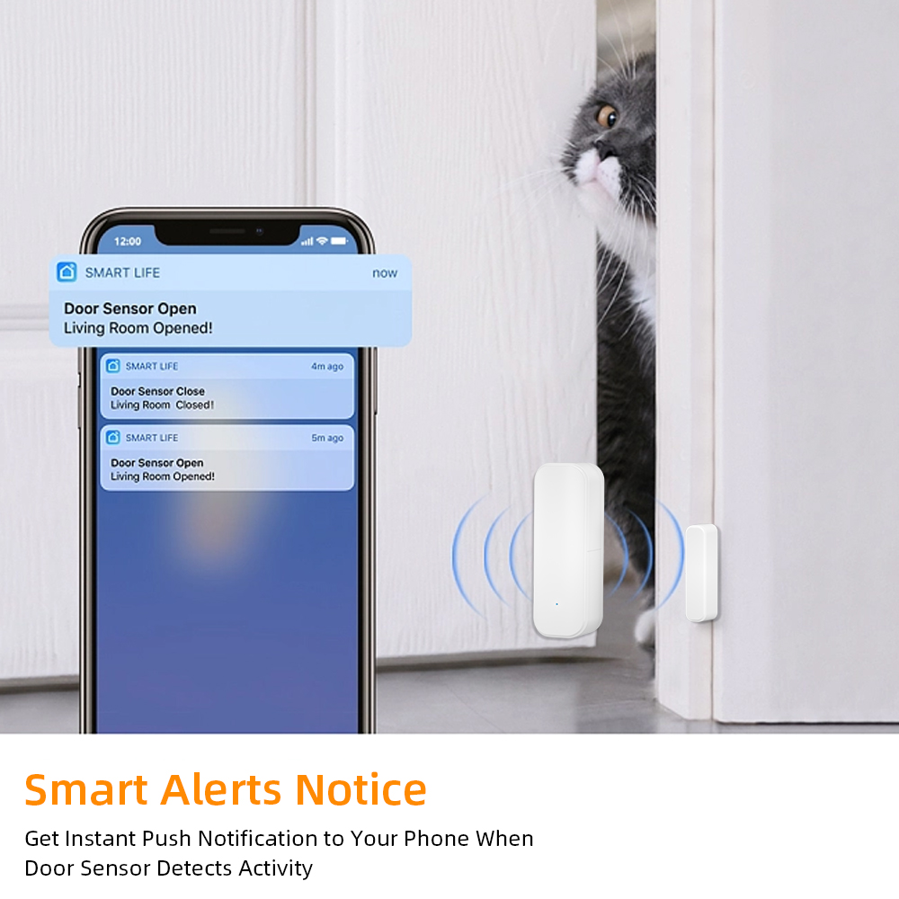 Zigbee 3.0 Funk-Tür- und Fenst – Power Tools Google Bewertung und Preis