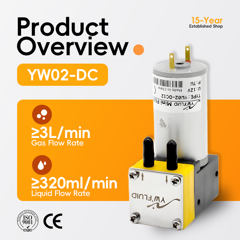 YW02 A-DC Niederdruck 12V 24V  – Air Compressor Mini Bewertung und Preis